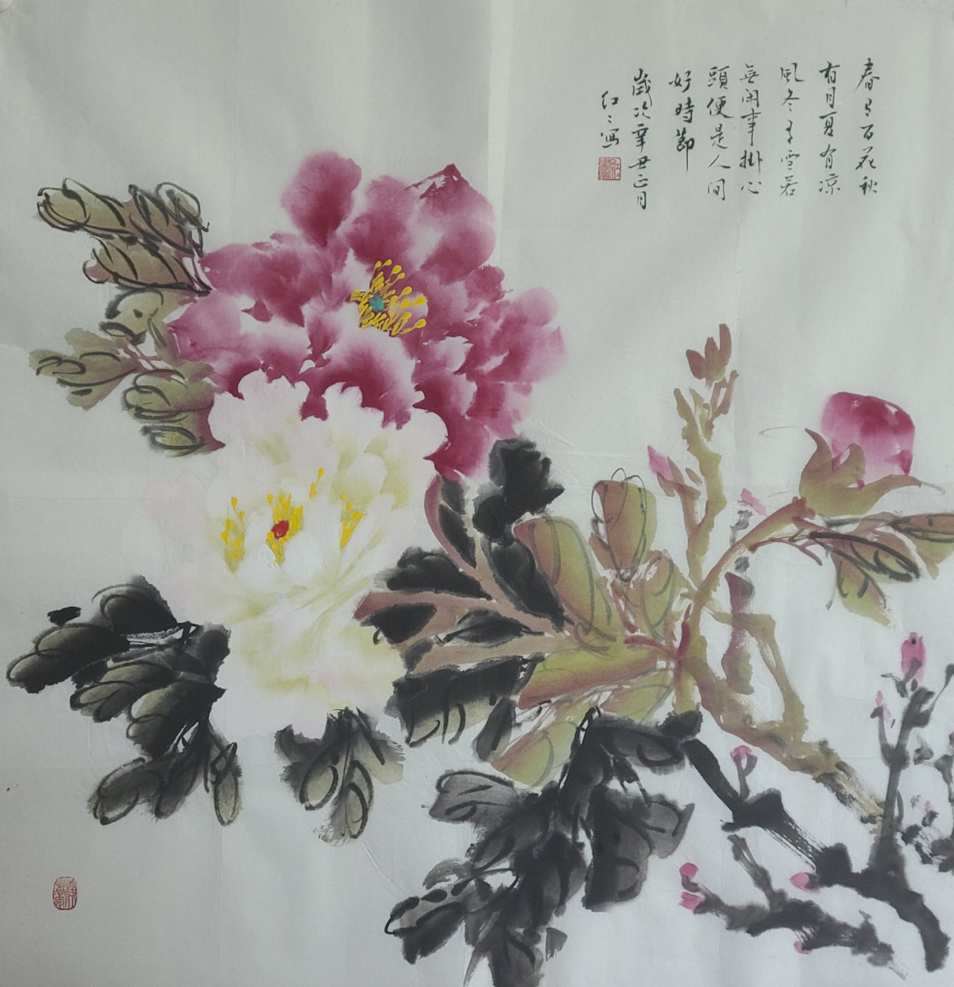 董红红牡丹写意